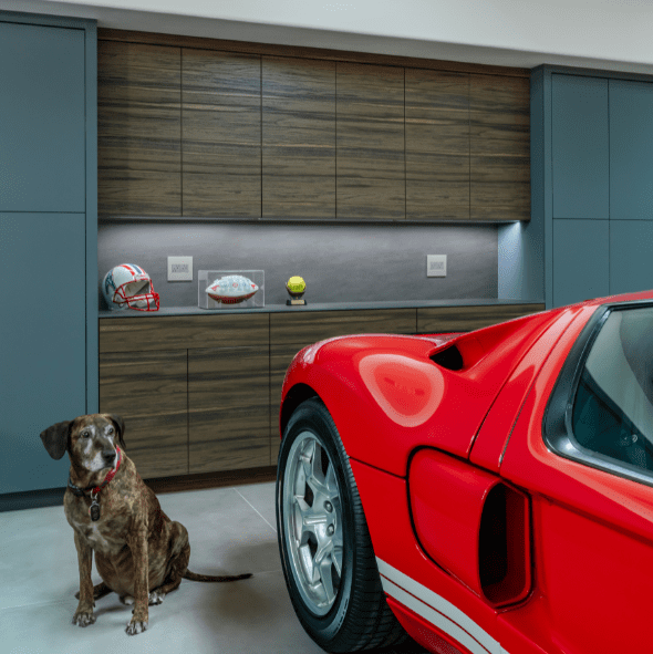 Untitled design (2) A red sports car is parked indoors near a brown dog, with sports memorabilia including helmets and a football displayed on shelves in the background.